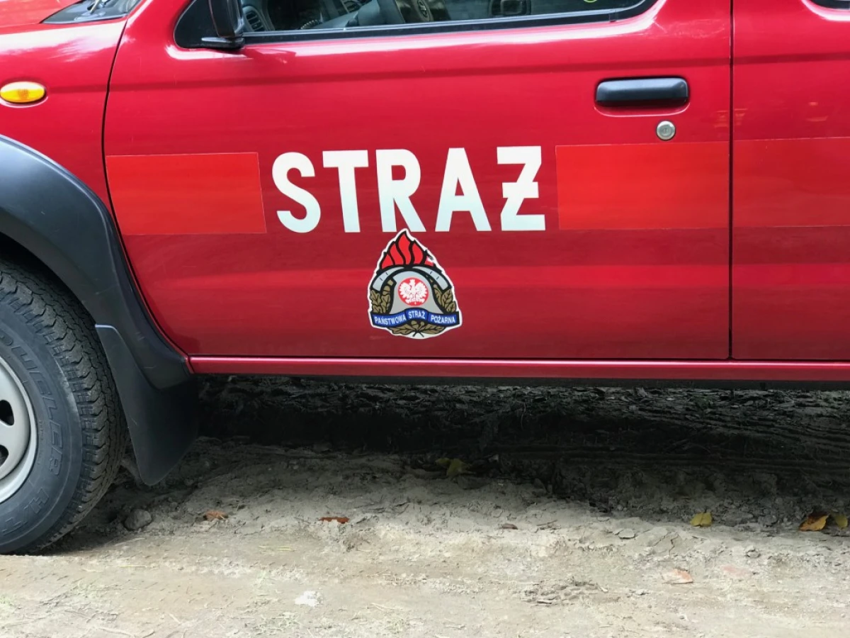 Zdjęcie