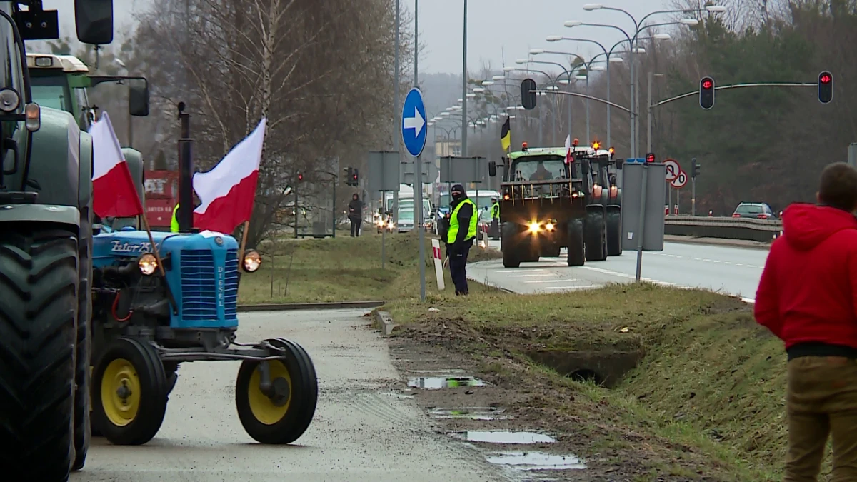 Zdjęcie