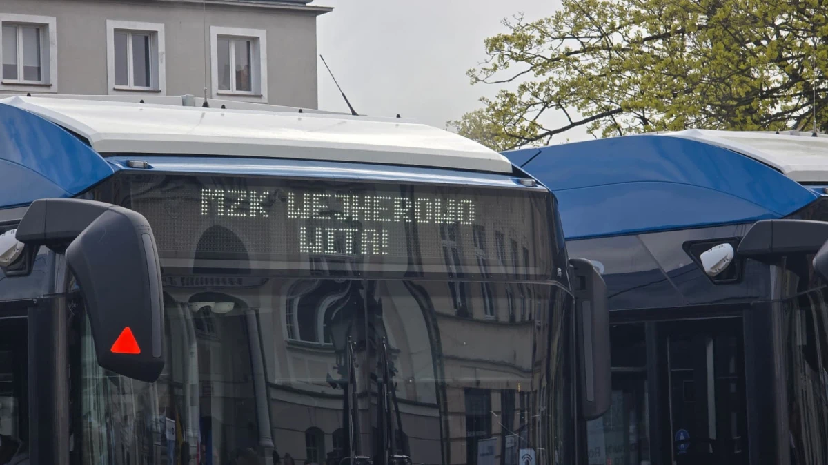 Zdjęcie