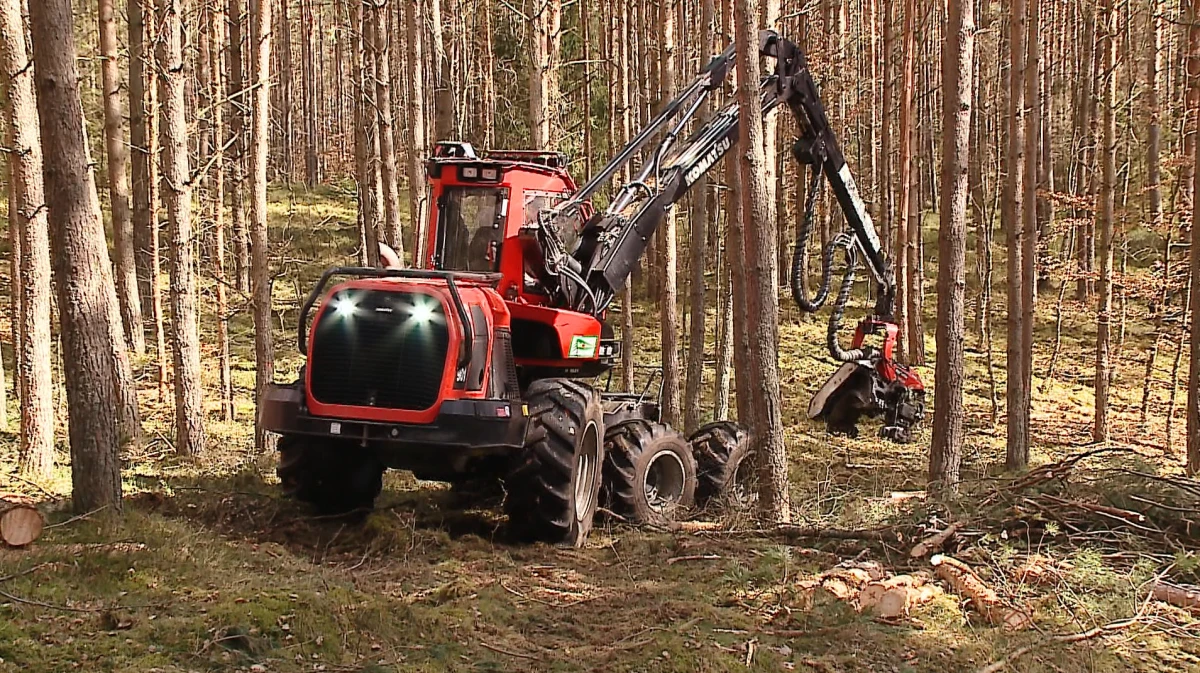 Zdjęcie