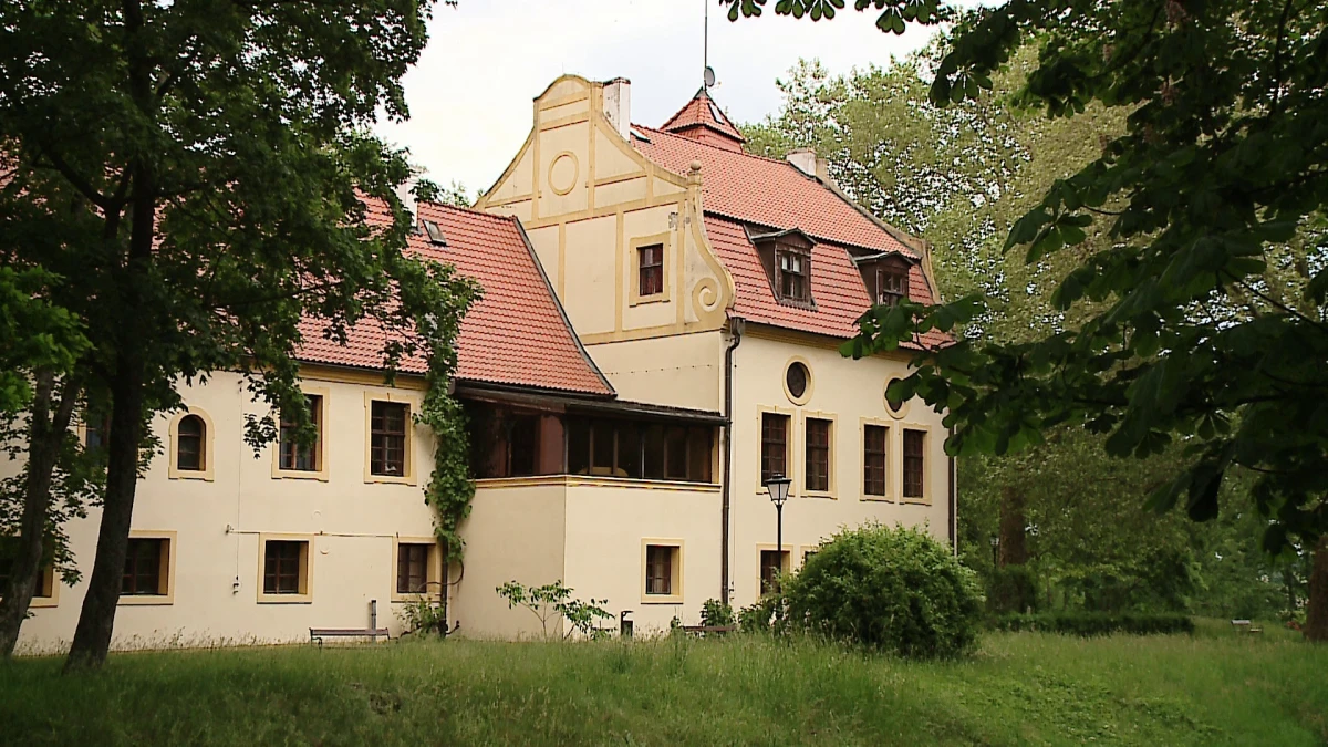 Zdjęcie