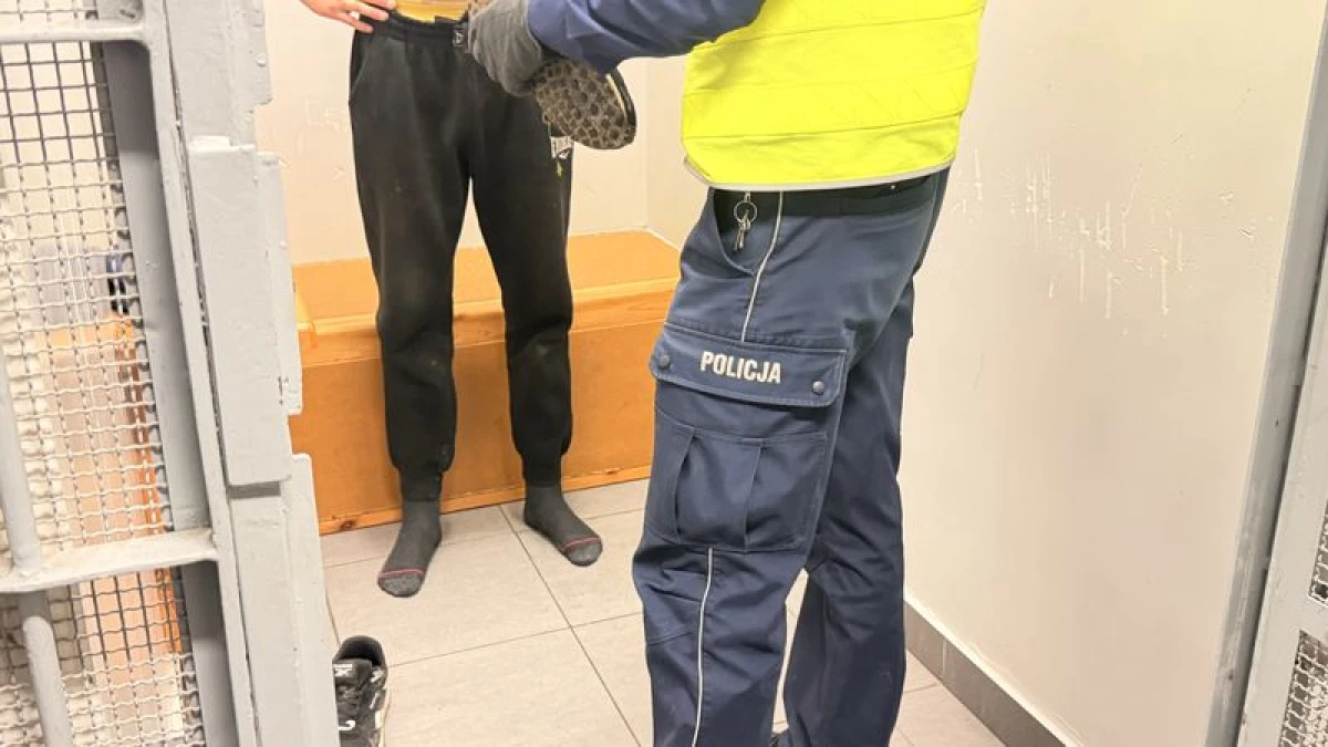 Zdjęcie
