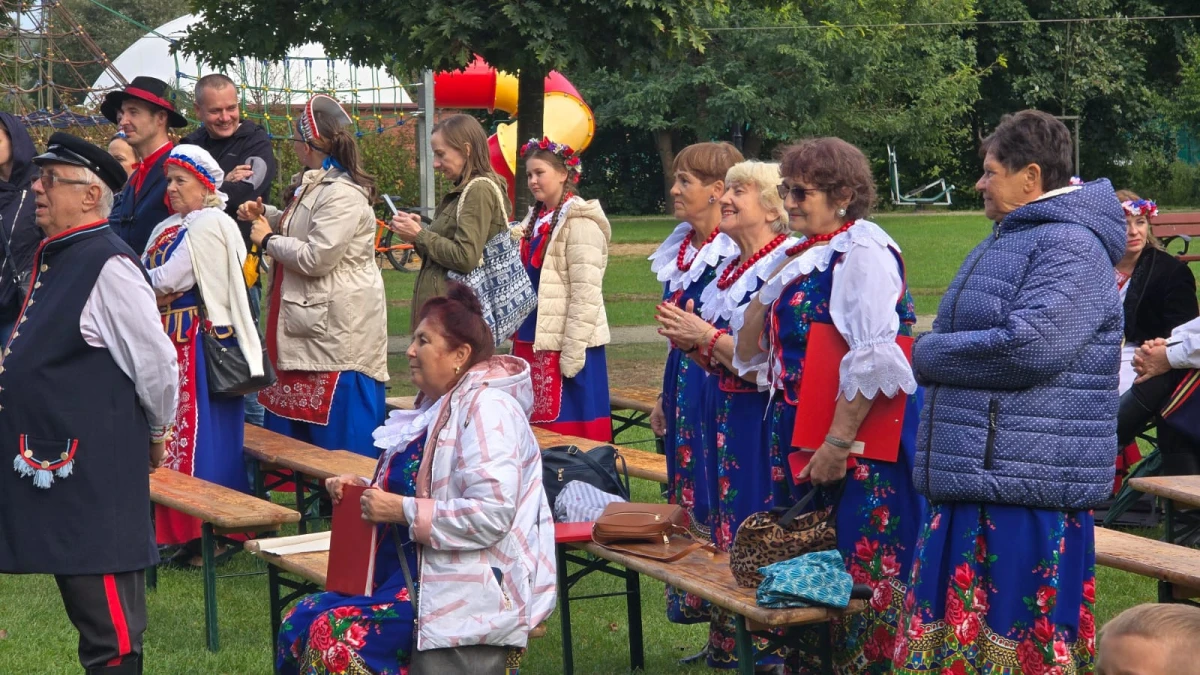Zdjęcie