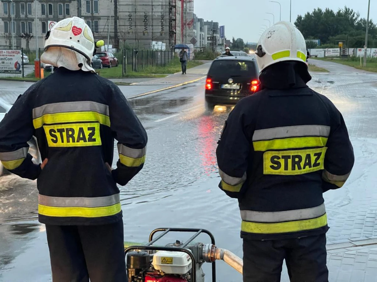 Zdjęcie