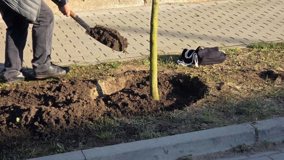 Zdjęcie
