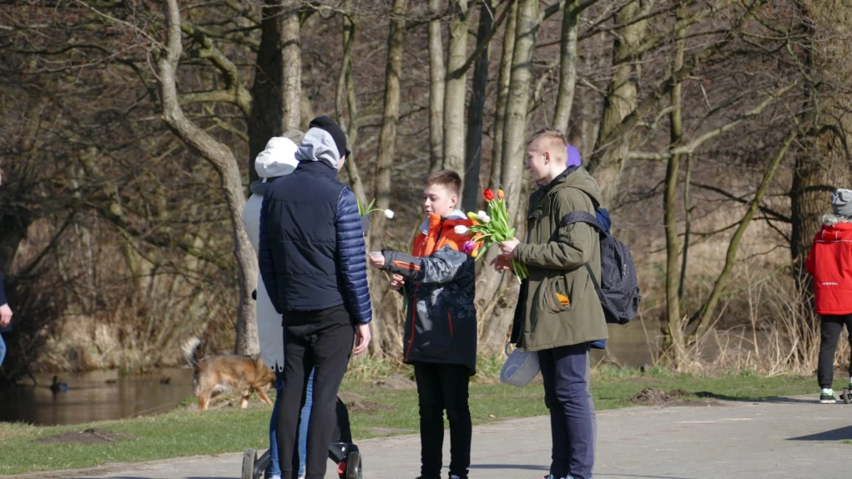 Zdjęcie