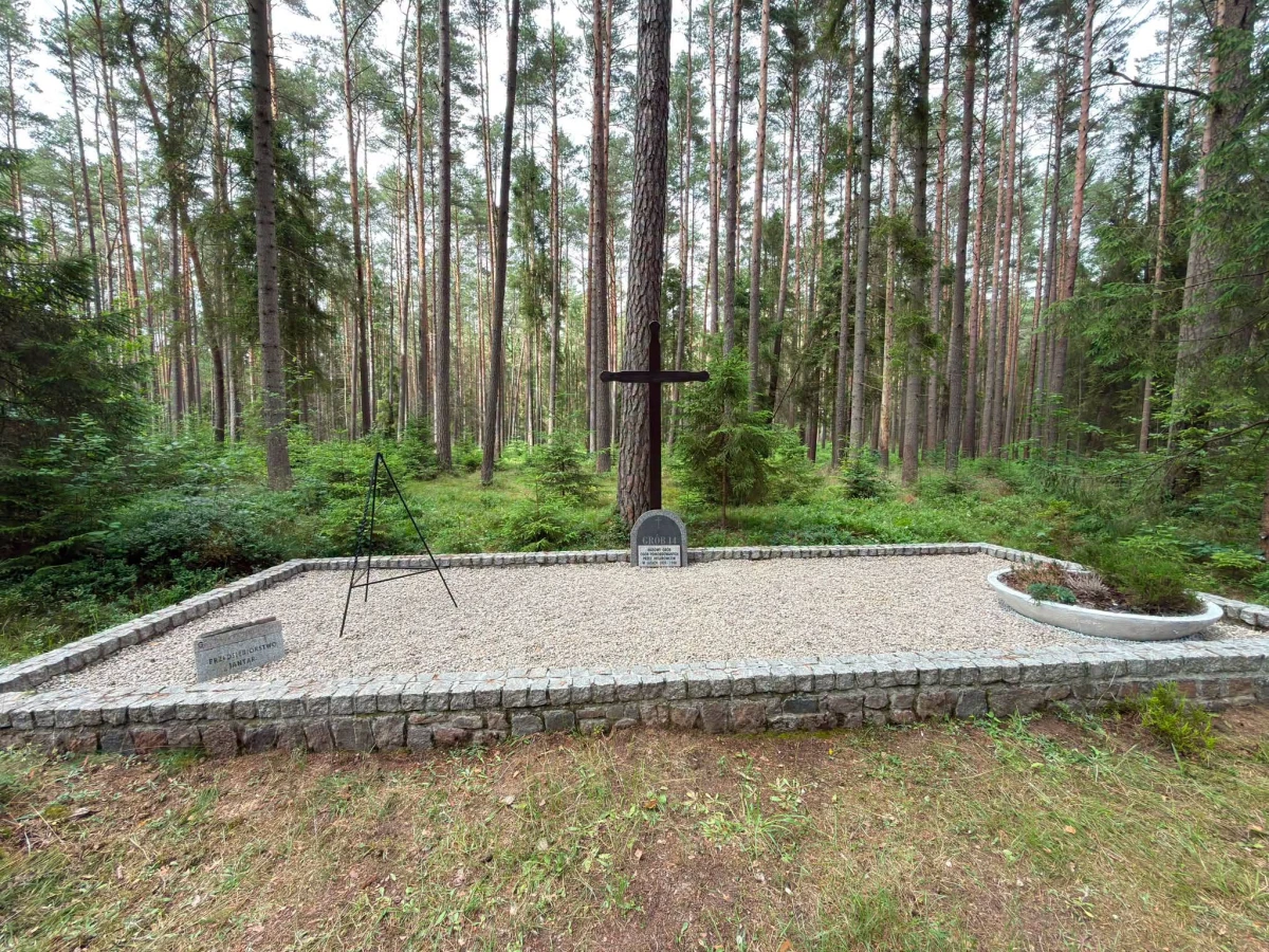 Zdjęcie