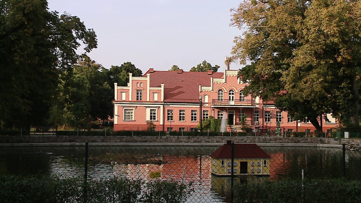 Zdjęcie