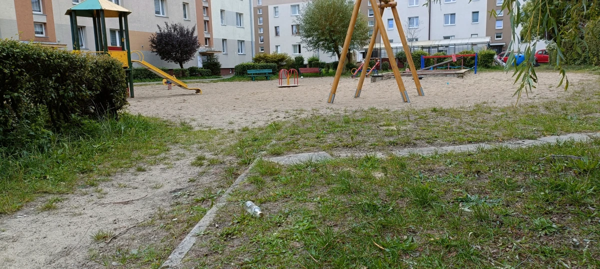 Zdjęcie