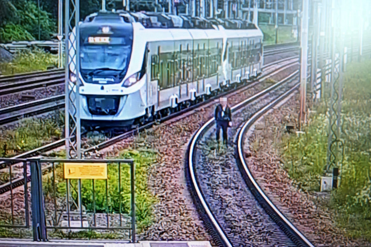 Zdjęcie