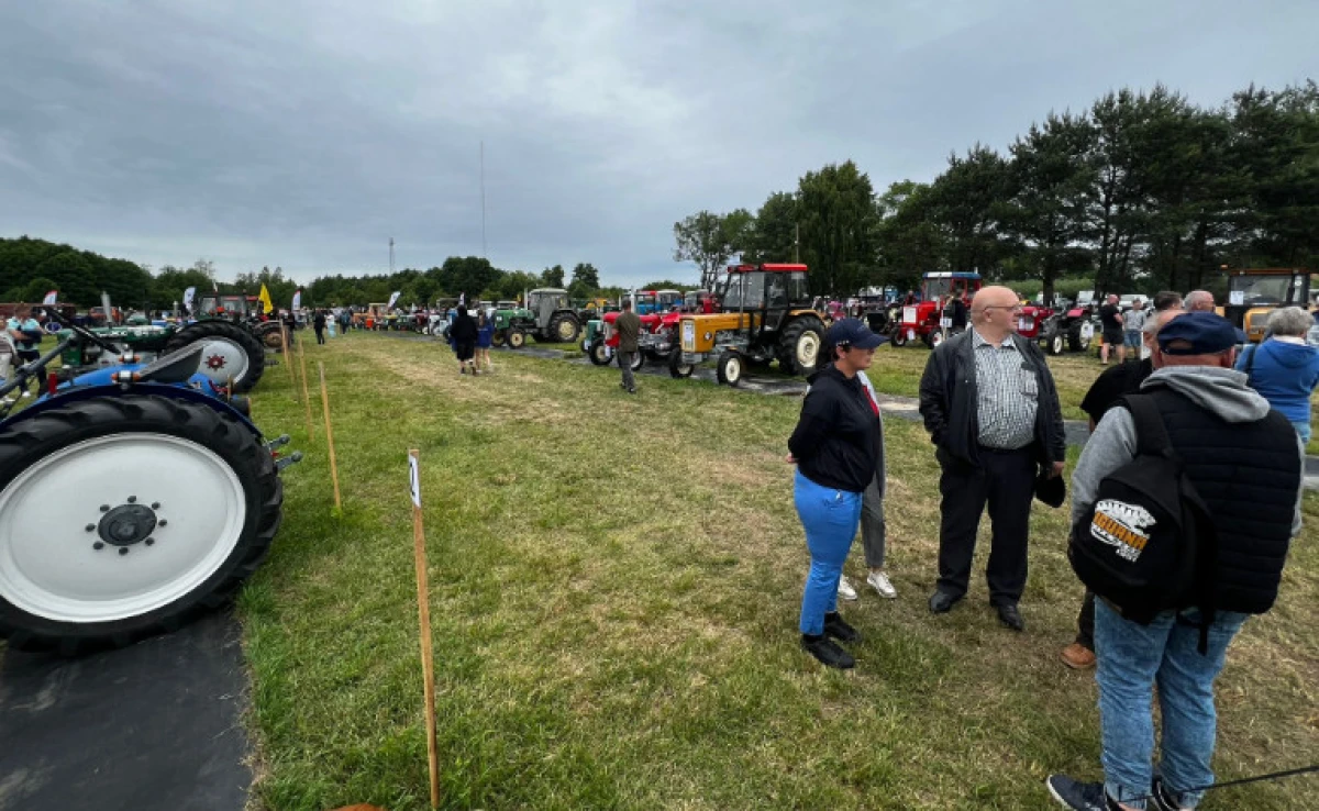 Zdjęcie