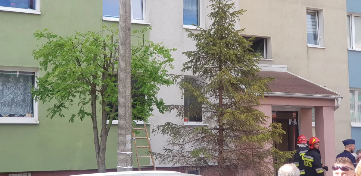 Zdjęcie