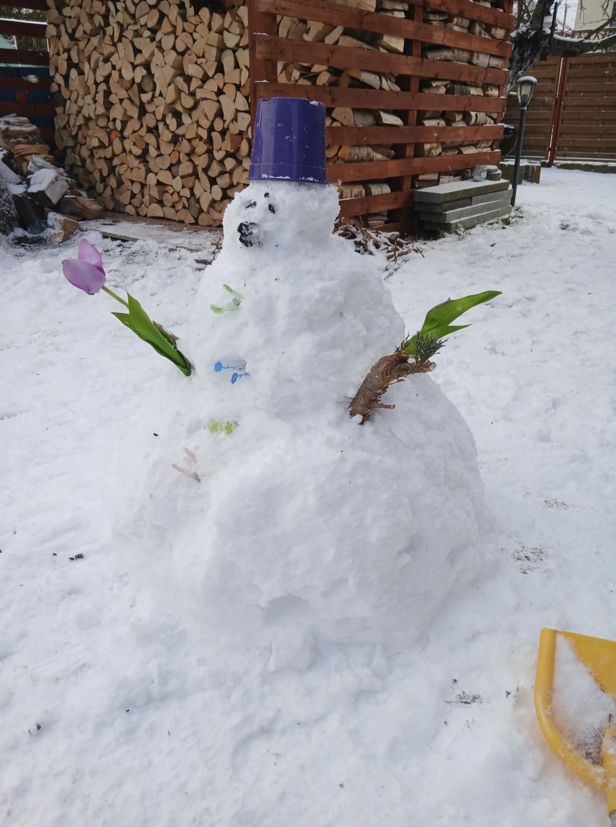 Zdjęcie