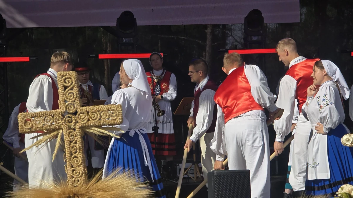 Zdjęcie