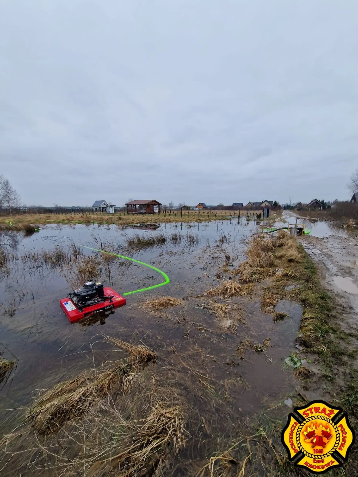 Zdjęcie