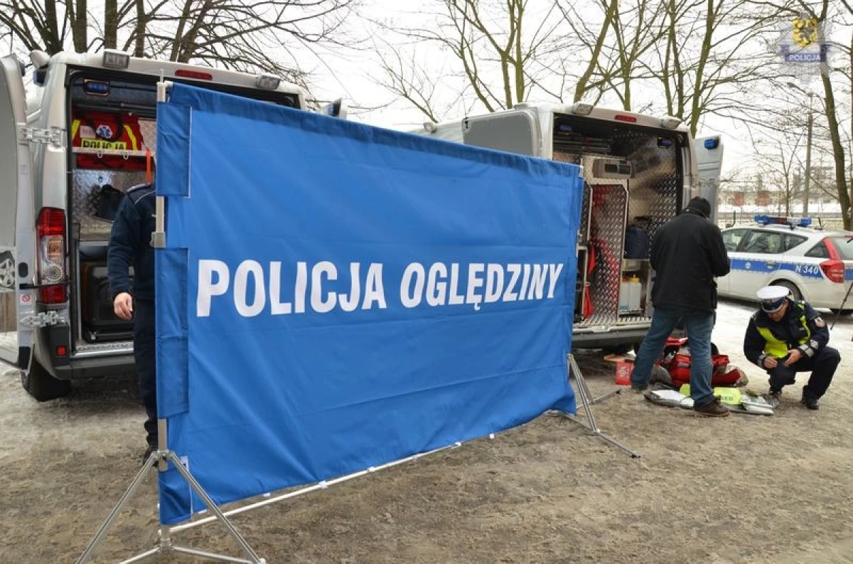 Zdjęcie