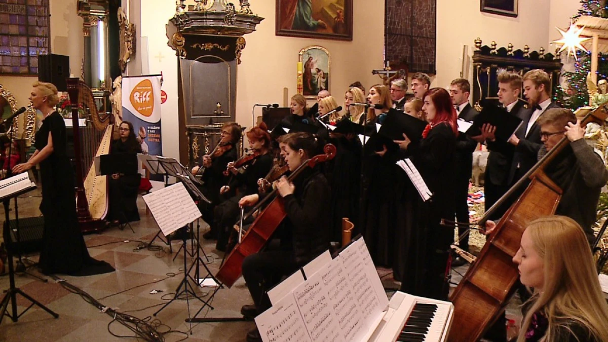 Zdjęcie