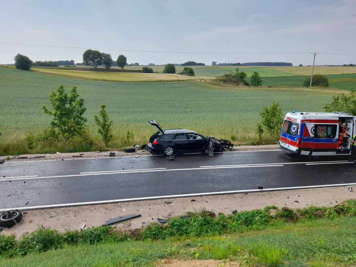 Zdjęcie