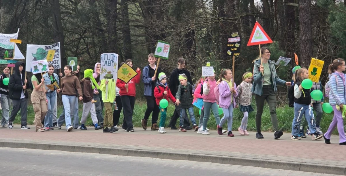 Zdjęcie