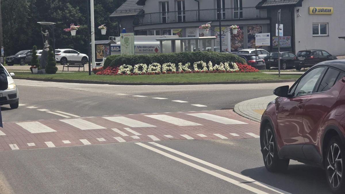 Zdjęcie