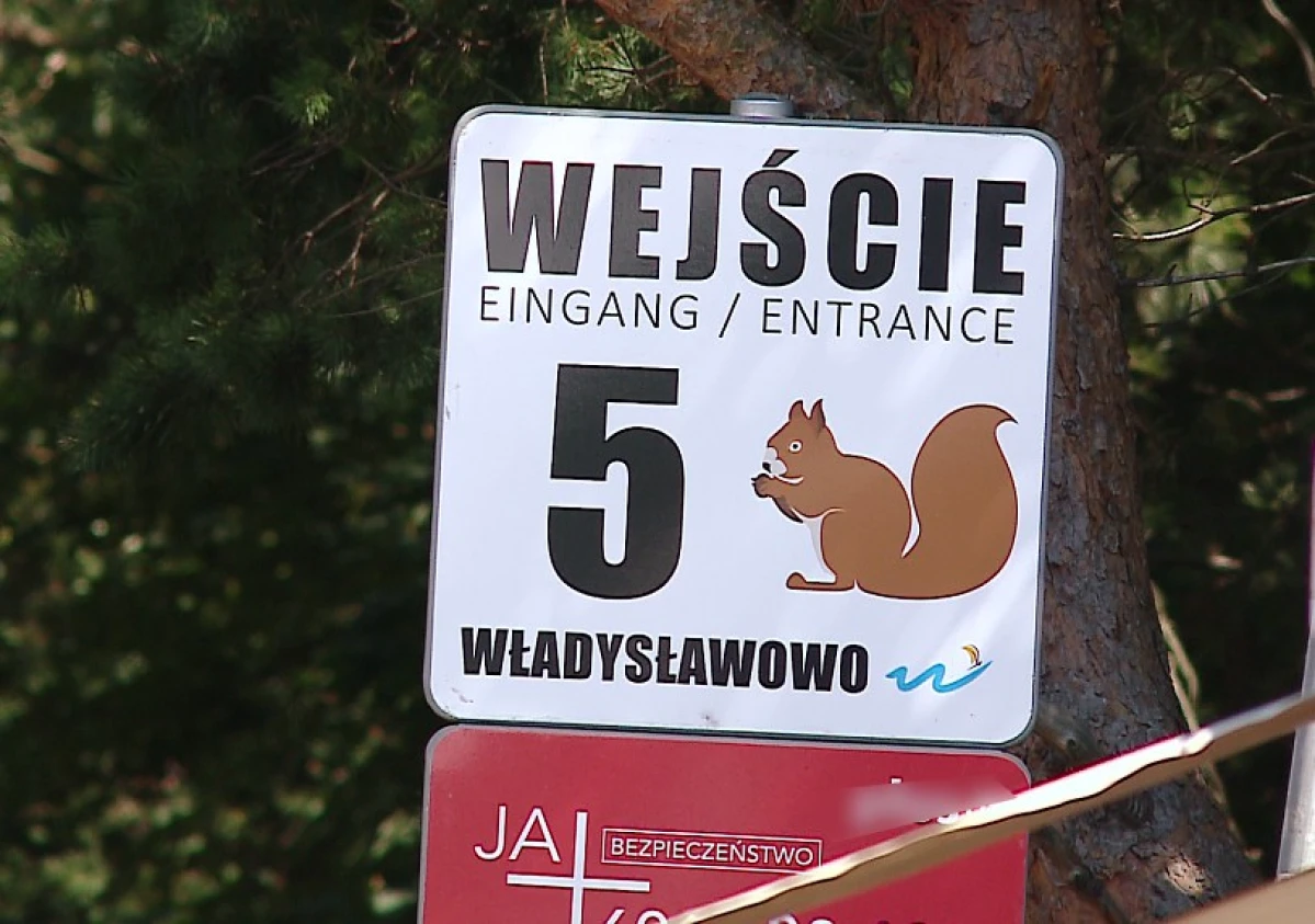 Zdjęcie