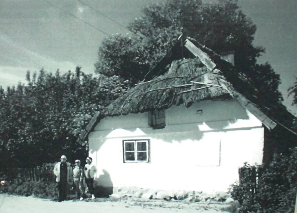 Zdjęcie