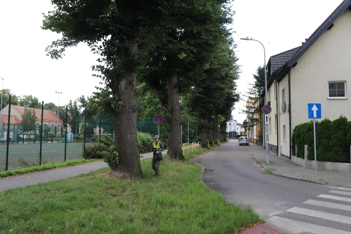 Zdjęcie