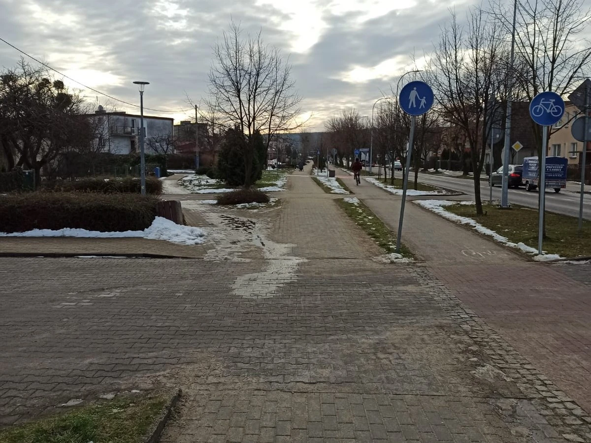Zdjęcie