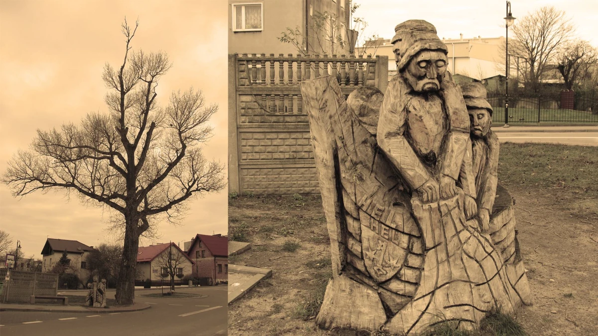 Zdjęcie