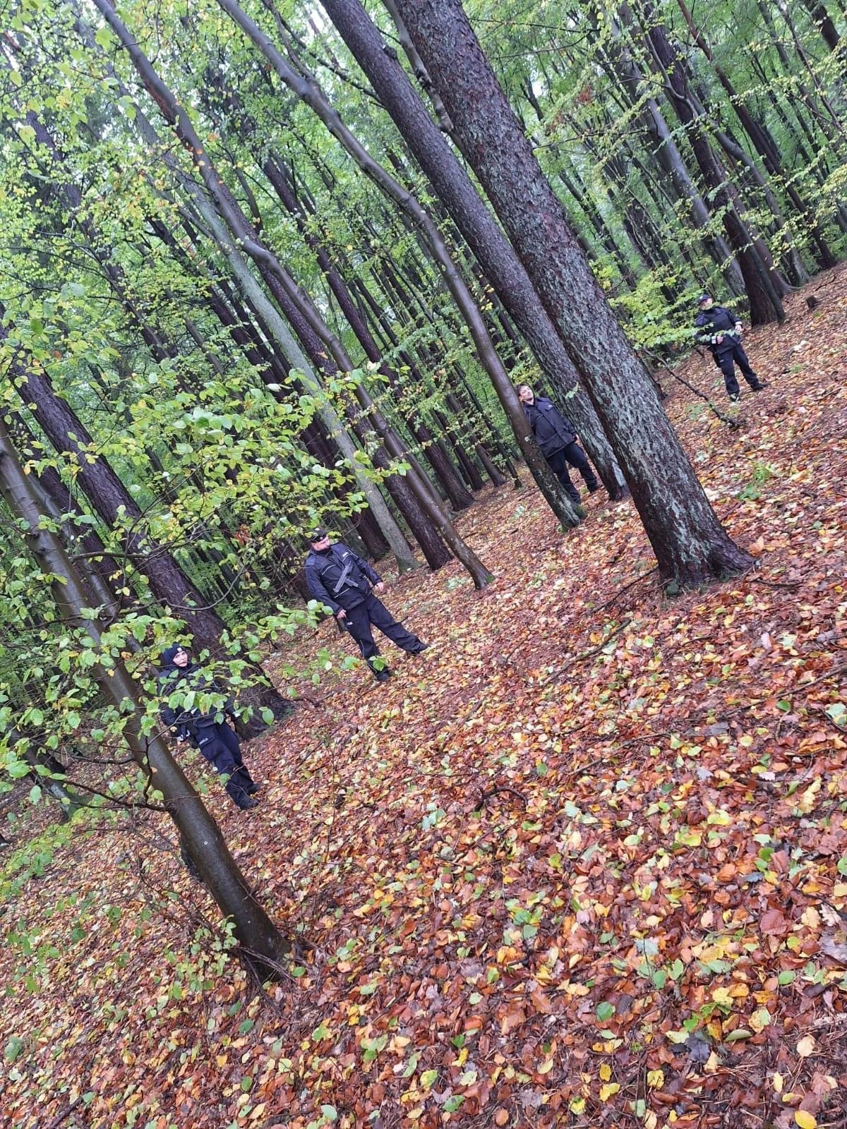 Zdjęcie