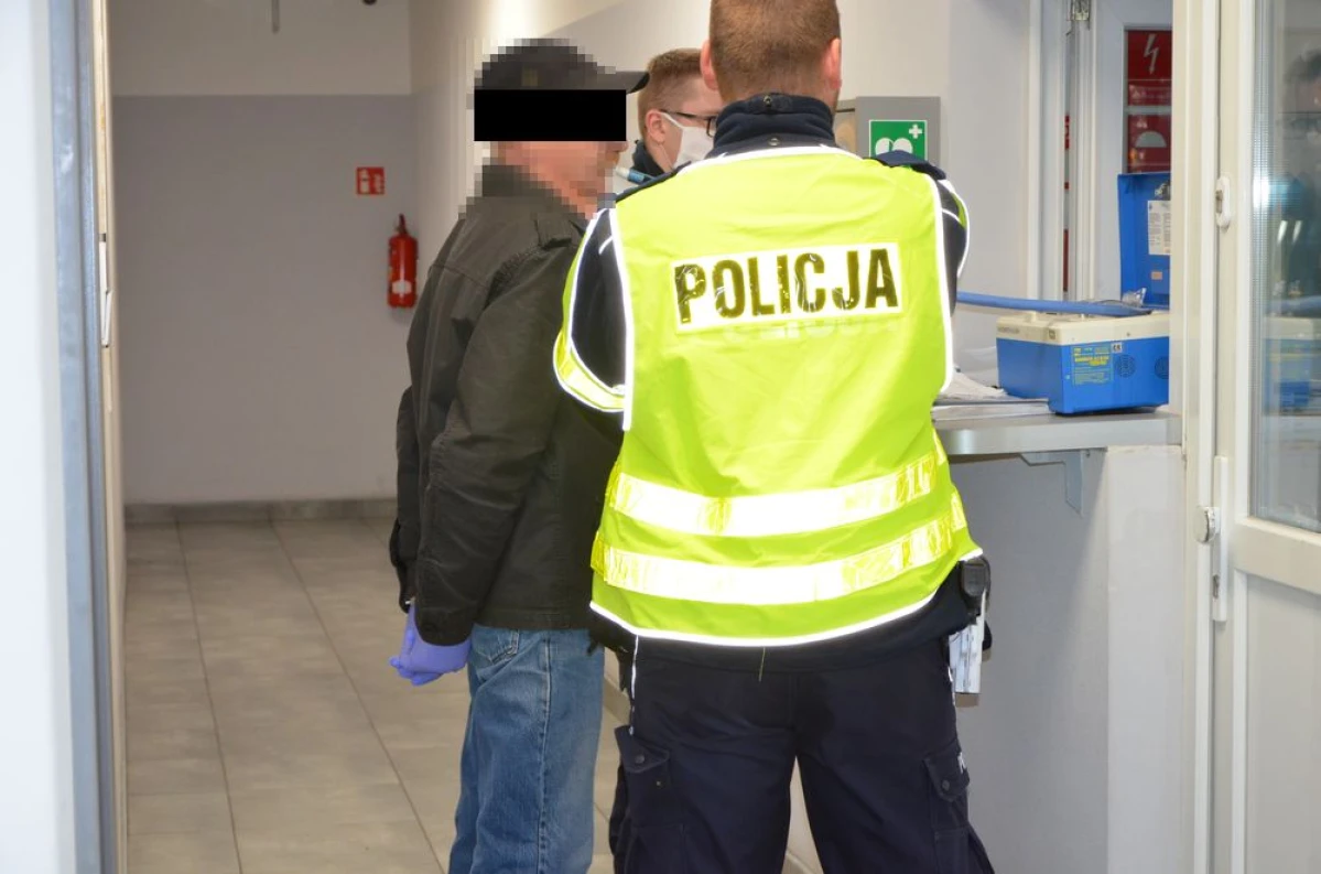 Zdjęcie