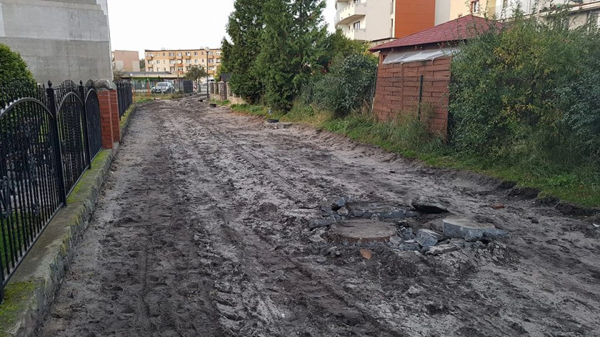 Zdjęcie