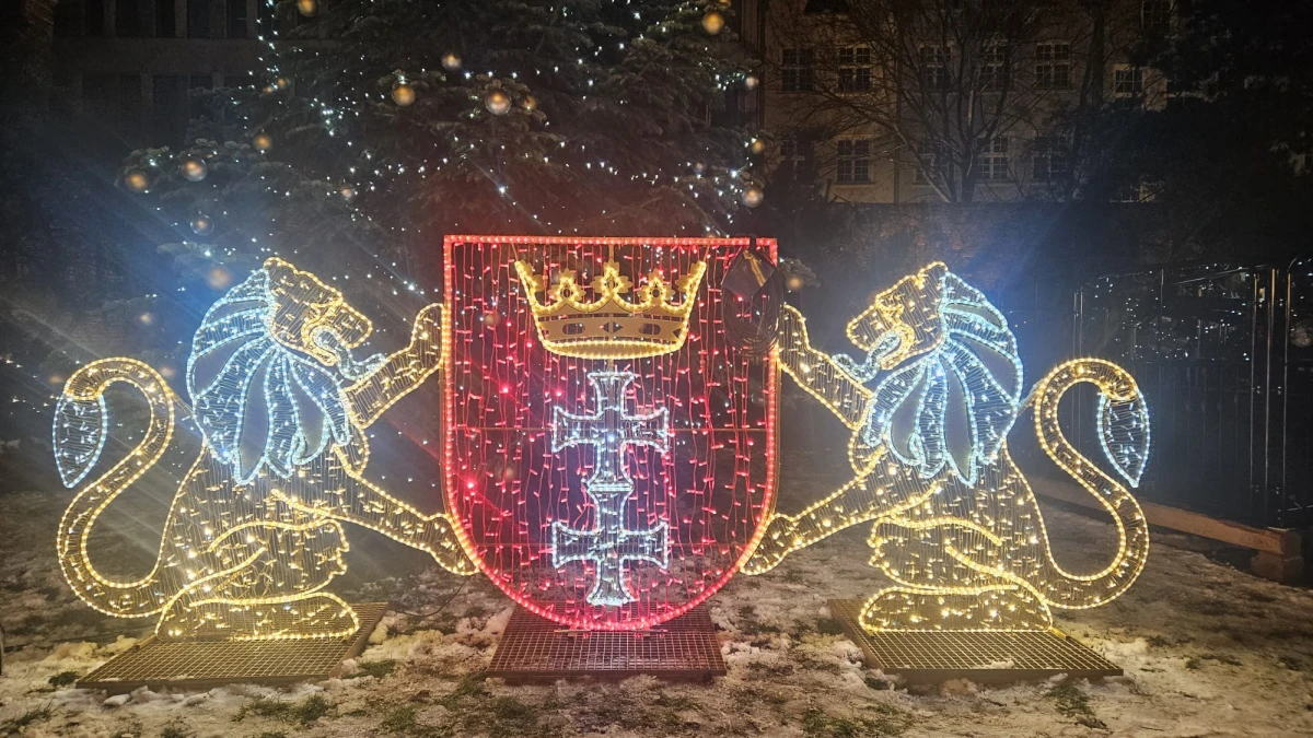 Zdjęcie