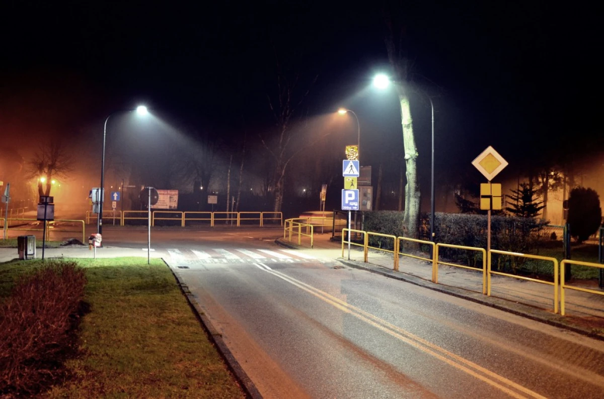 Zdjęcie