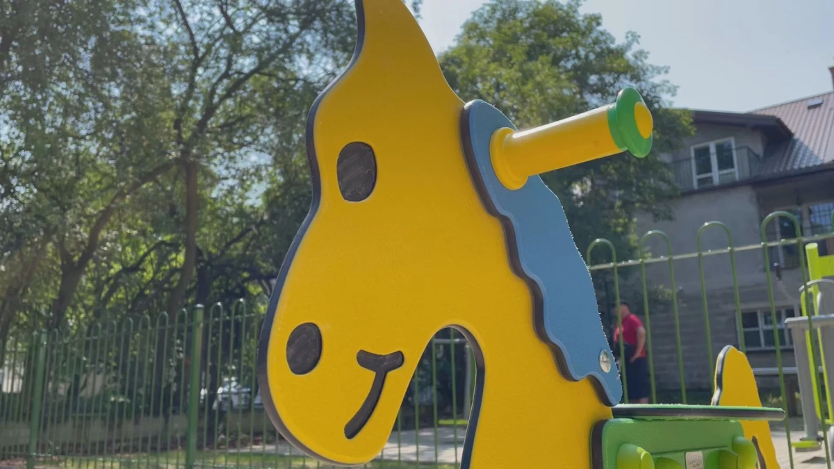 Zdjęcie