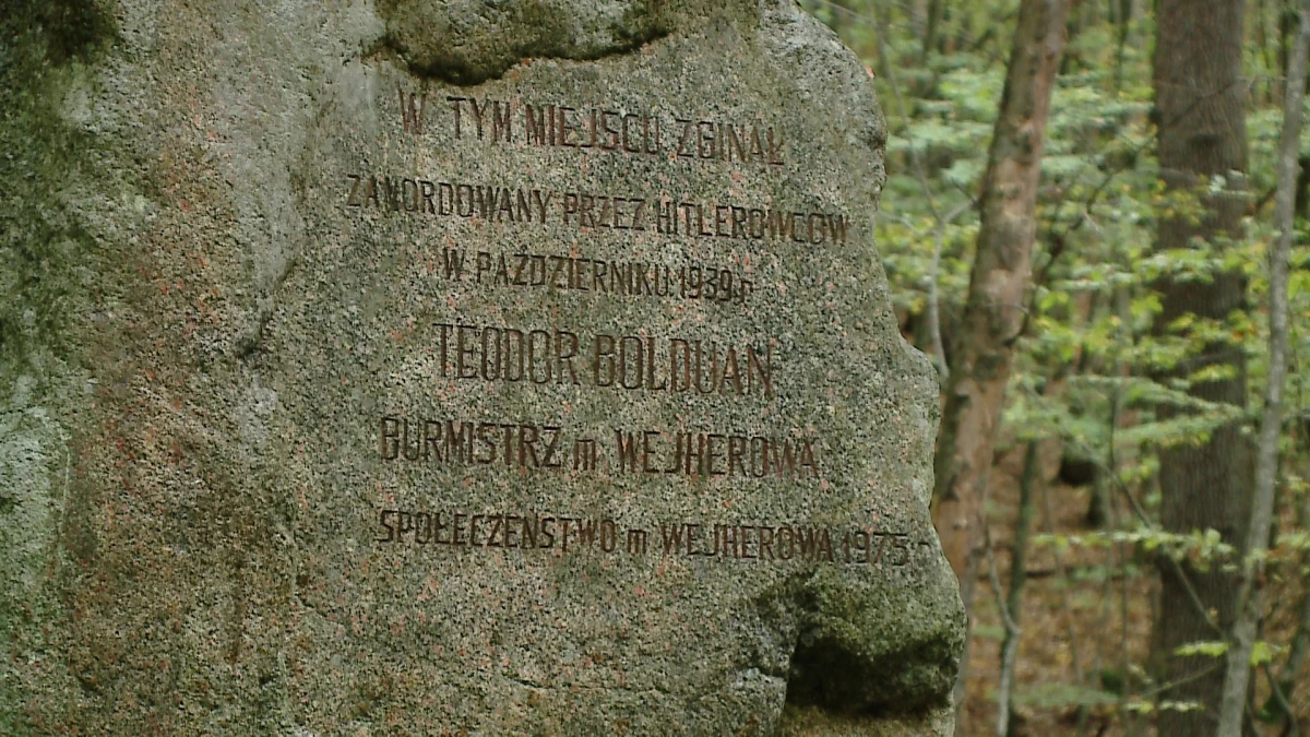 Zdjęcie