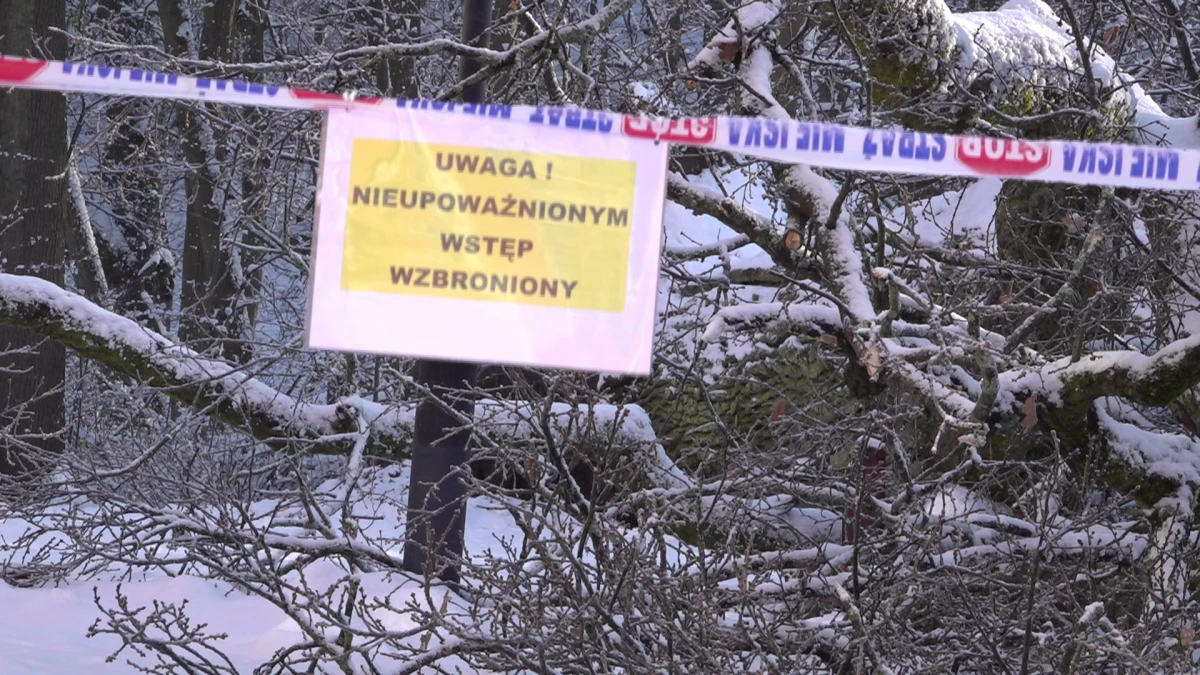 Zdjęcie
