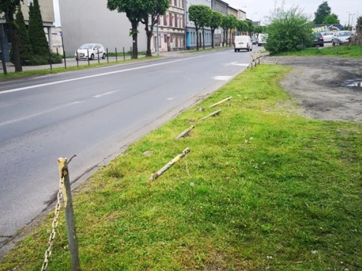 Zdjęcie