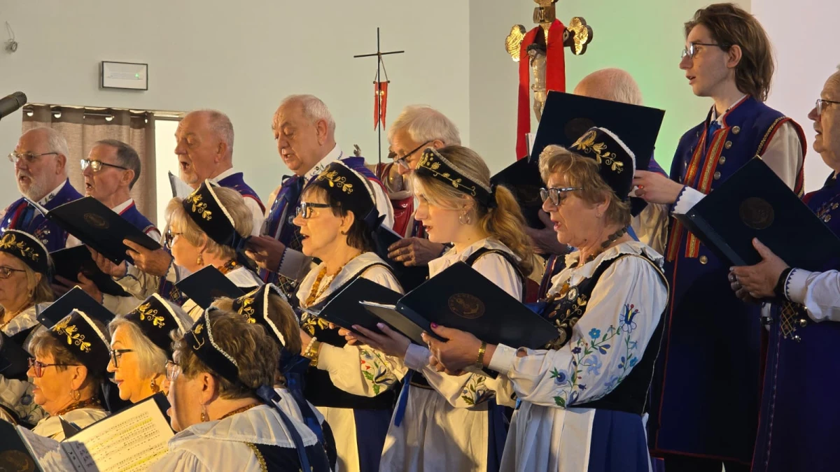Zdjęcie