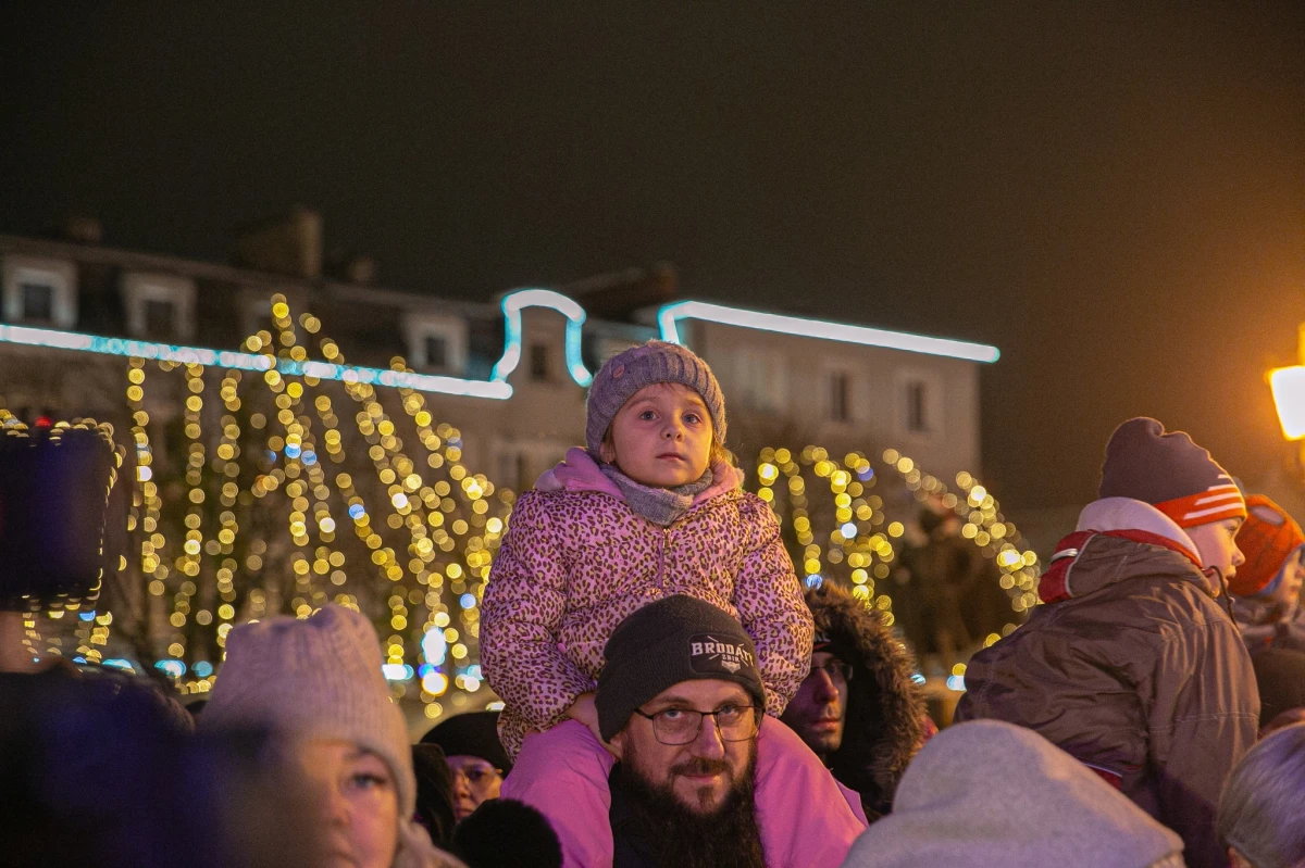 Zdjęcie