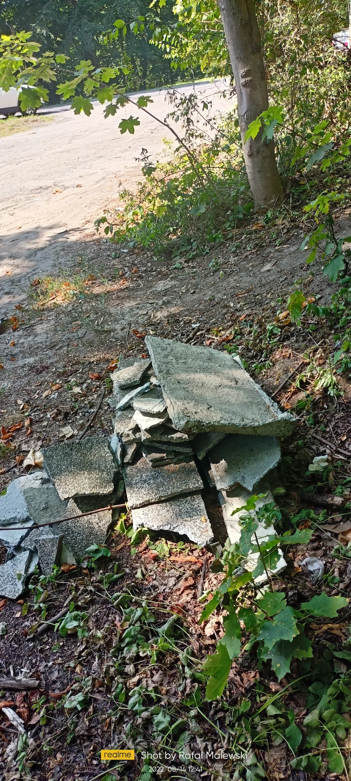 Zdjęcie