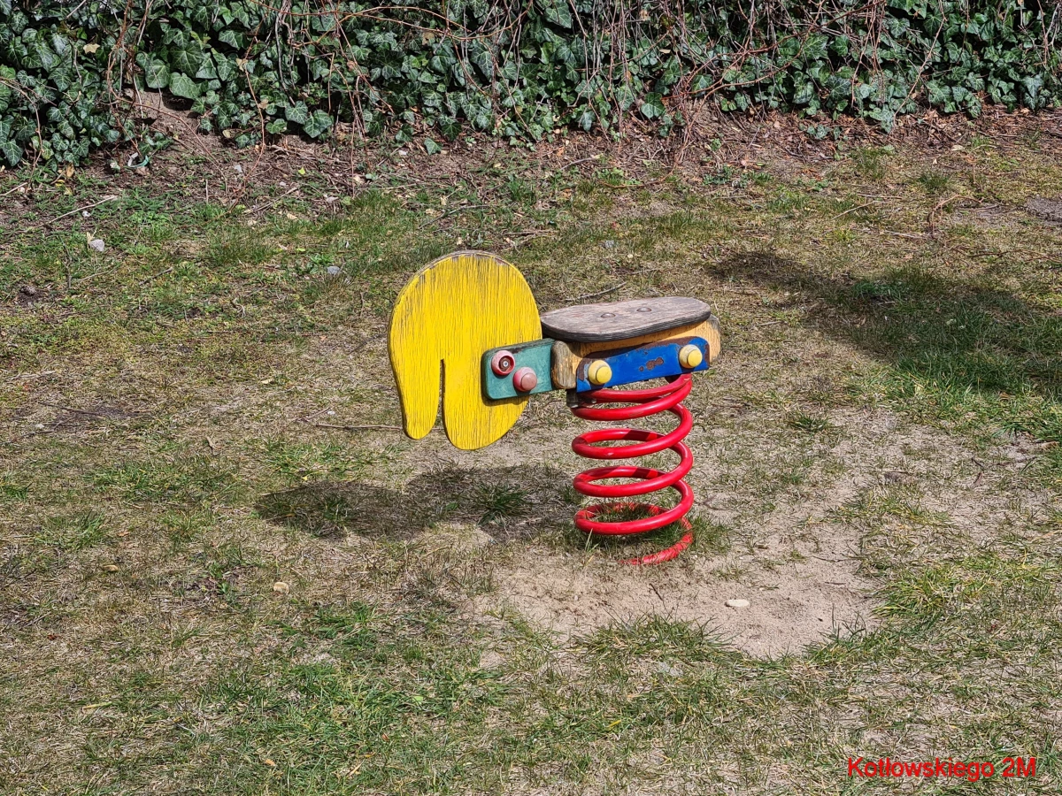 Zdjęcie