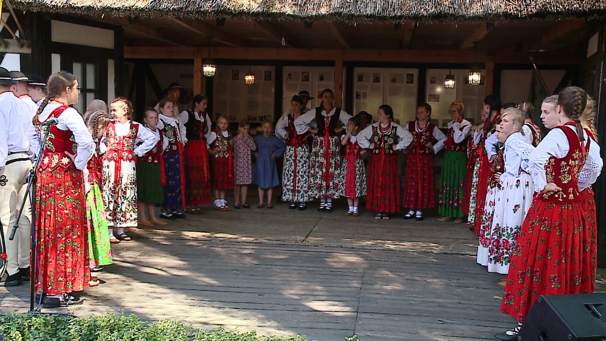 Zdjęcie