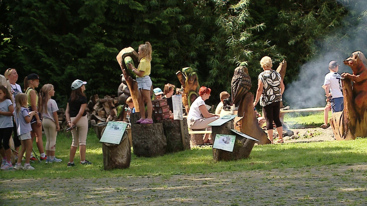 Zdjęcie