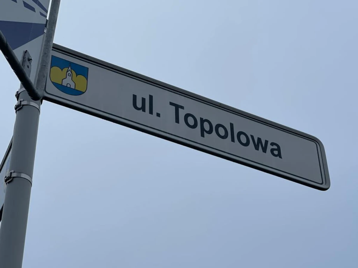 Zdjęcie