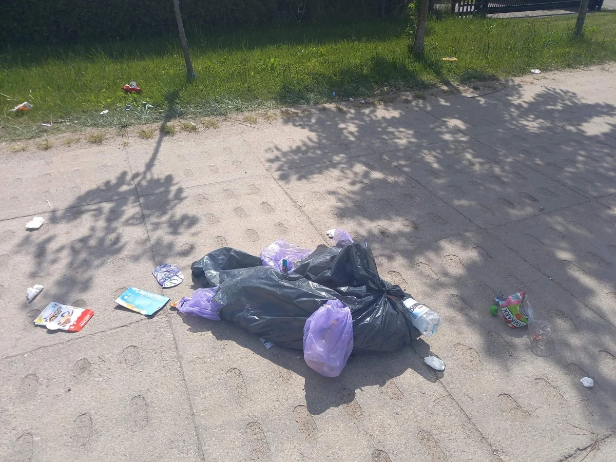 Zdjęcie