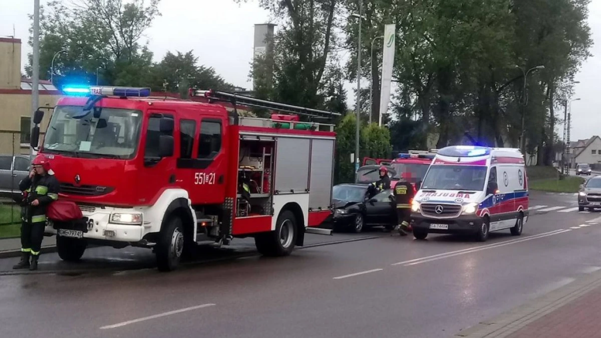 Zdjęcie