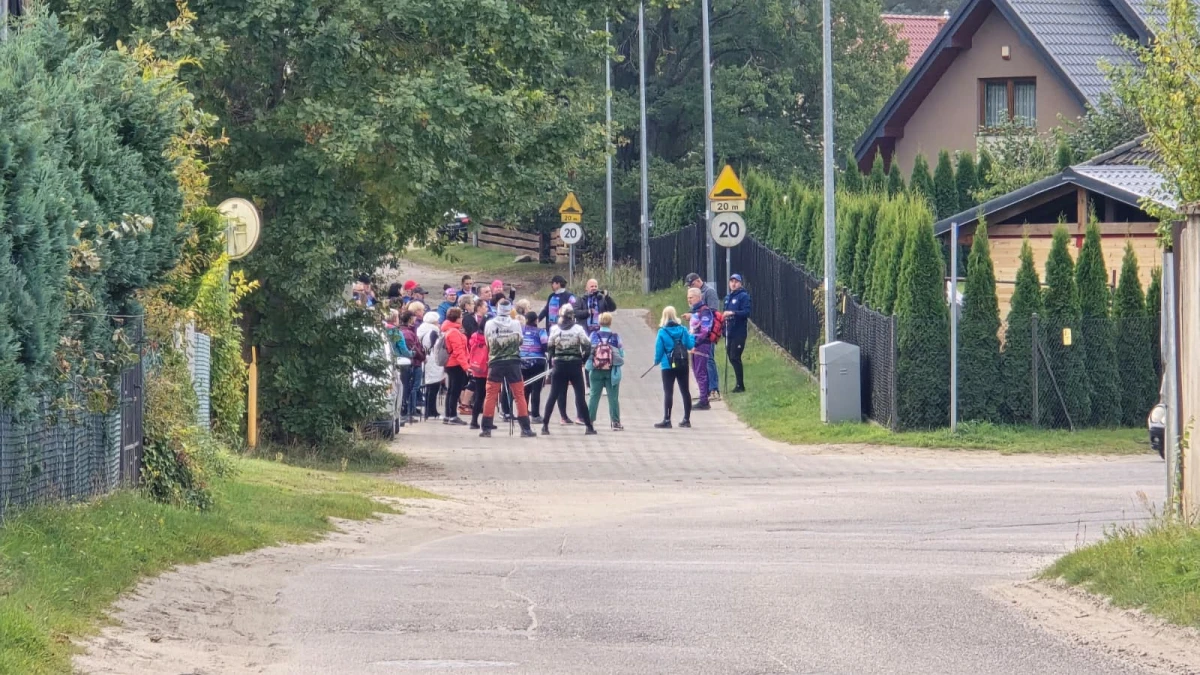 Zdjęcie