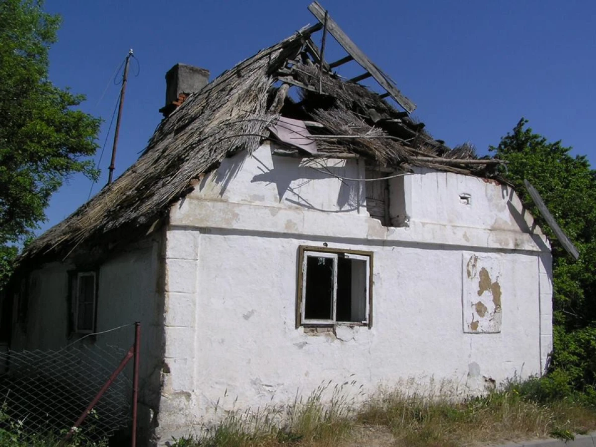 Zdjęcie