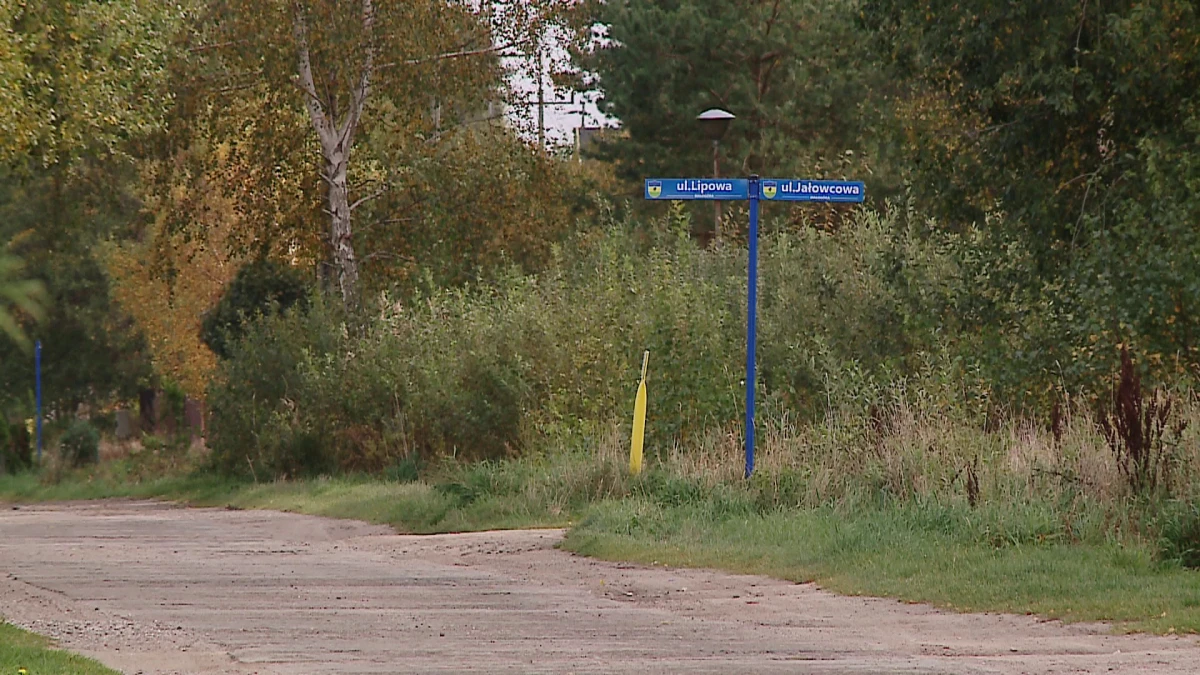 Zdjęcie